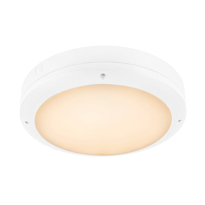 OUTDOOR BULKHEAD V 360, SENSOR 20W 830/840/856 IP65 IK10, White