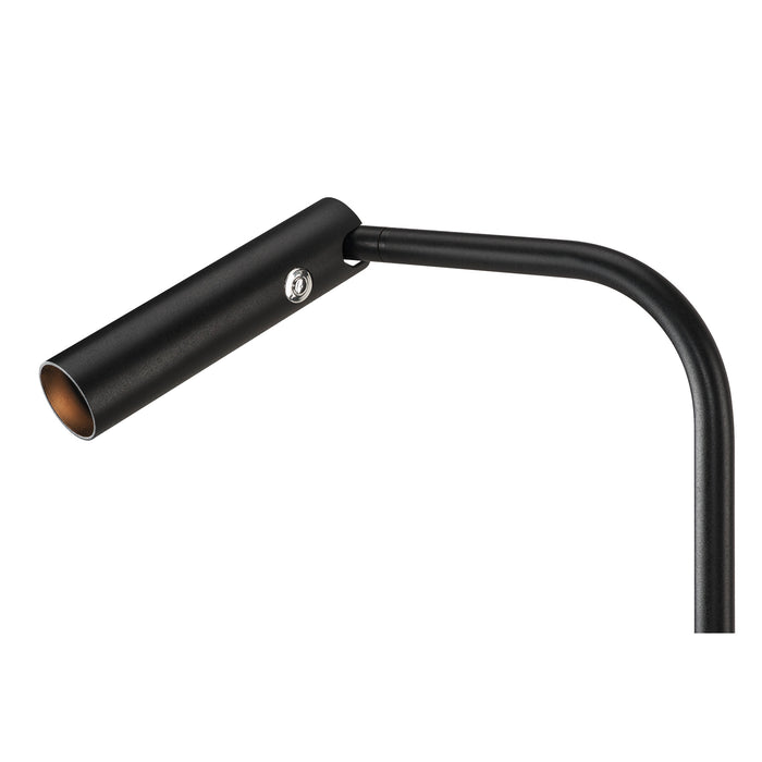 Black metal gooseneck desk lamp with a matte finish.