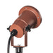 Bronze finish cast aluminum landscape spotlight, ground mounted.