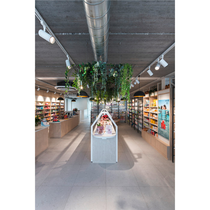 Pharmacy interior with wood shelving, concrete ceiling, hanging plants, and white display tables.