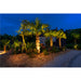Outdoor landscape lighting illuminating palm trees and garden at night.