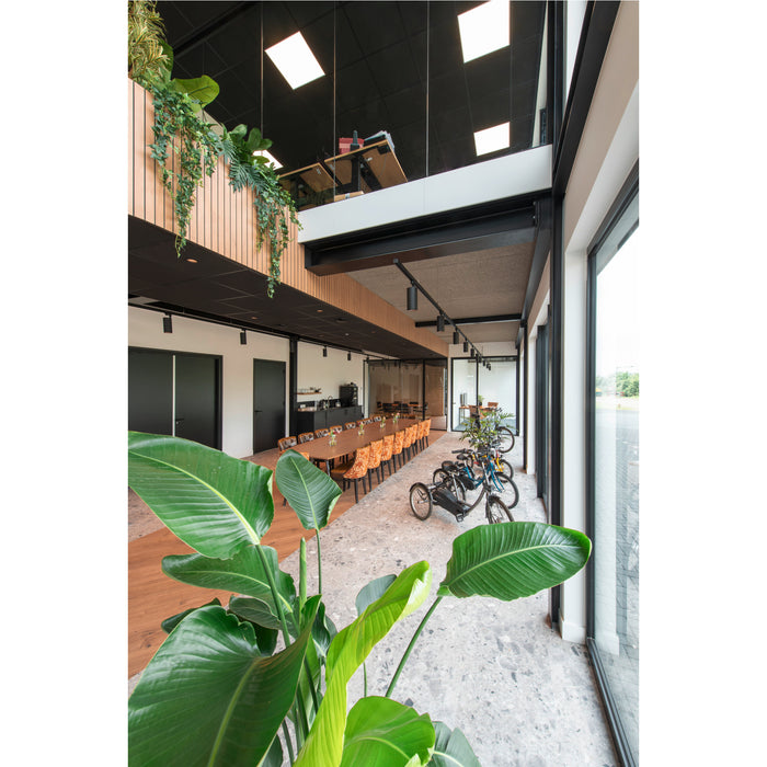 Modern office interior with wood paneling, black accents, large windows, plants, and a long conference table.