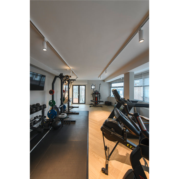 Home gym with black metal weight rack, dumbbells, and cardio machines on rubber and wood floors.