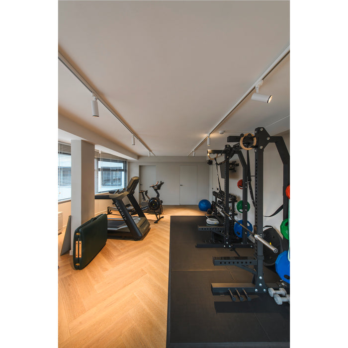 Home gym with black metal power rack, weights, treadmill, and wood floor.