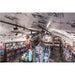 Interior view of a bookstore with books on wooden shelves and a white ceiling with black drawings.