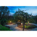 Garden path with dark metal bollard lights illuminating the cobblestone walkway at dusk.