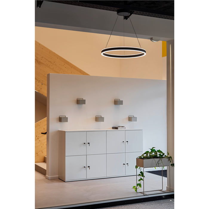 Black metal ring pendant light fixture, suspended.