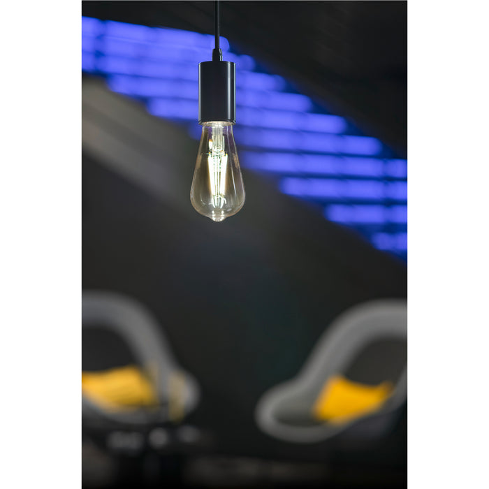 Hanging Edison bulb with black fixture, clear glass, pendant mount.
