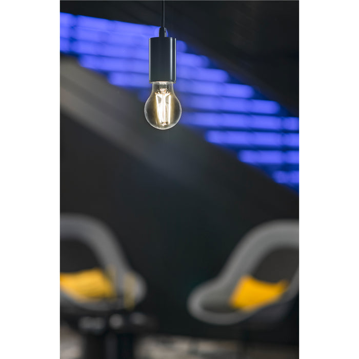 Hanging Edison bulb with black fixture, suspended from ceiling.