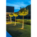 Illuminated trees in a modern landscape design, with lights mounted around the base of the trunks.