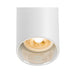 White cylinder surface-mounted light fixture.
