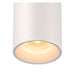 White cylinder surface-mounted light fixture.