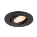 Recessed ceiling light fixture, black finish, adjustable spotlight.