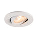 White recessed ceiling light fixture with adjustable head.