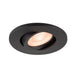 Black recessed ceiling light fixture with adjustable spotlight.