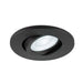 Recessed ceiling light fixture, black finish, adjustable spotlight.