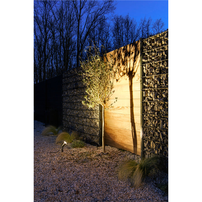 Gabion wall with wood panels, filled with rocks, next to a small tree illuminated by a ground spotlight.