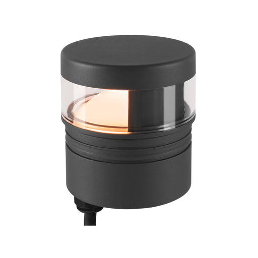 SLV M-POL S Polehead 180°, low-glare, lamp head, anthracite, 10W, 750lm, 2700K, CRI80, DALI