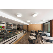 Ambient picture of SLV MEDO® PRO 30, wall- and ceiling-mounted light, round, 3000/4000K, 10W, DALI, Touch, 70°, UGR<19, white