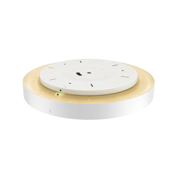 Bottom view product picture of SLV MEDO® 60, wall- and ceiling-mounted light, round, 2700/3000/4000K, 39W, trailing-edge phase, 110°, white