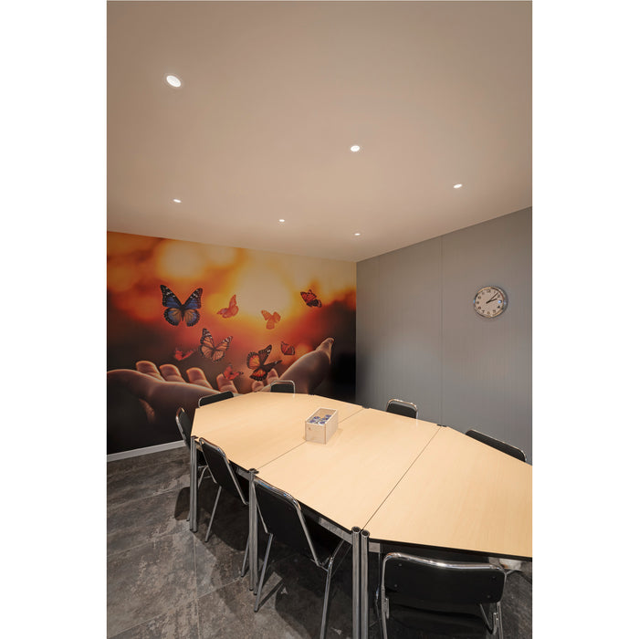 Conference room with light wood table, black chairs, butterfly mural, and recessed lighting.