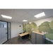 Office meeting room with wood table, black chairs, gray metal cabinet, and tree mural.
