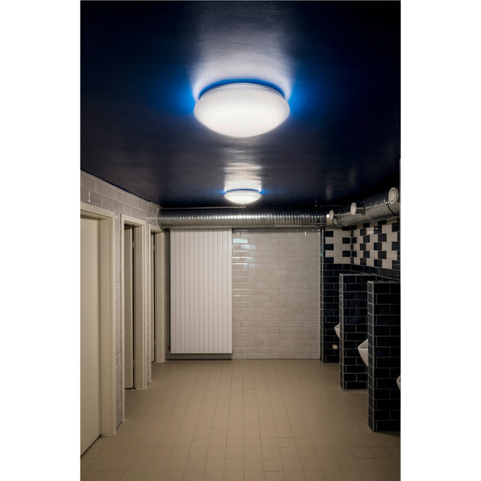 White acrylic flush mount ceiling light fixture with blue accent lighting in a commercial restroom.