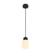 Front view product picture of SLV VARYT, pendant light, 150cm, E14, 6W, black
