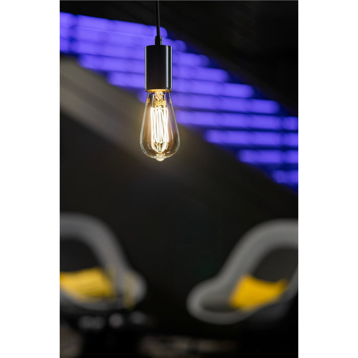 Hanging Edison bulb with black fixture, clear glass, and visible filament.