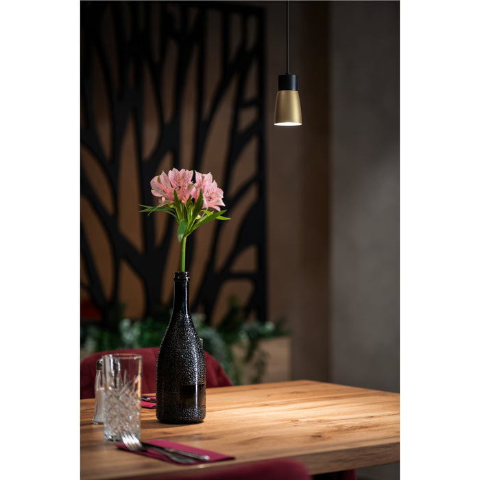 Brass and black metal pendant light fixture, ceiling mounted.