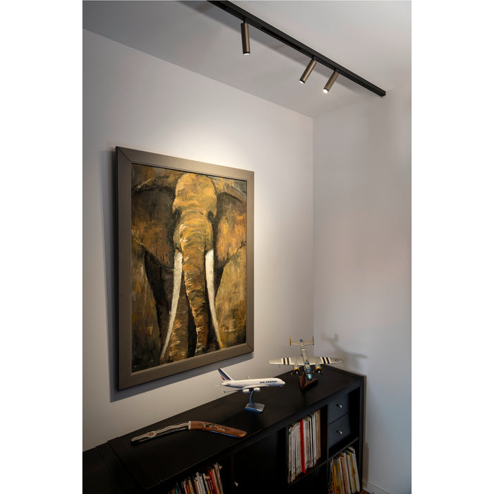 Bronze finish track lighting fixture, ceiling mounted.