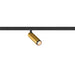Metal track lighting fixture, gold finish, mounted on black track.