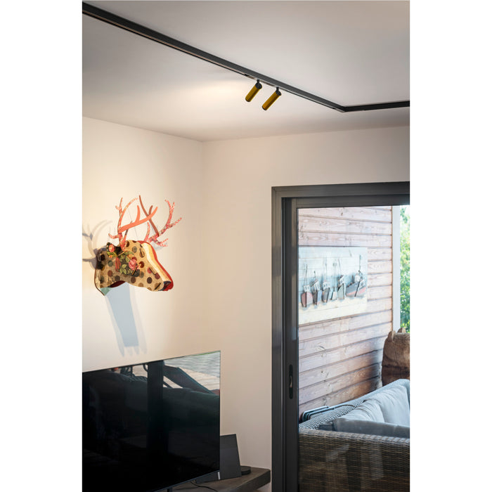 Brass finish track lighting mounted on ceiling, illuminating a room with a decorative deer head.