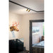 Brass finish track lighting mounted on ceiling, illuminating a room with a decorative deer head.