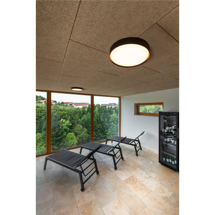 SLV 1008578 DECONA 30, ceiling-mounted light, round, 2700/3000 K, 18 W, PHASE, black (MD20)