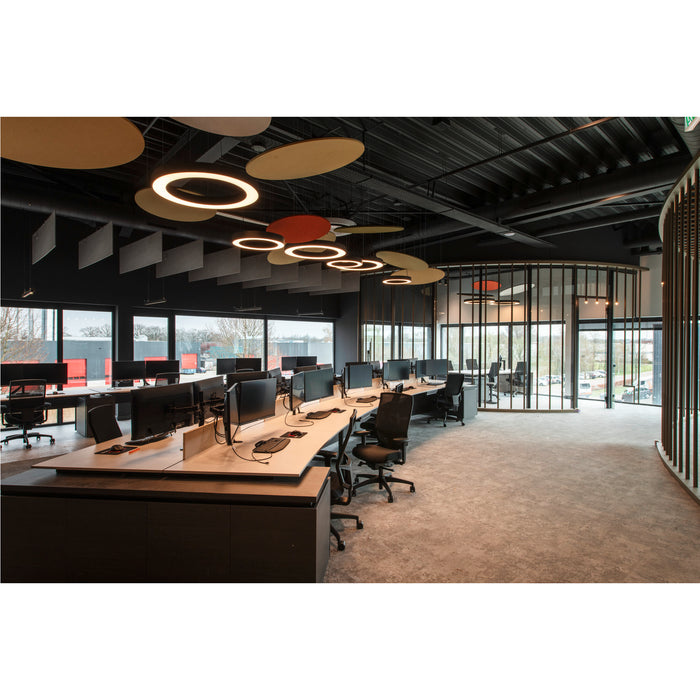 Modern office interior with desks, black chairs, suspended acoustic panels, and ring-shaped ceiling lights.