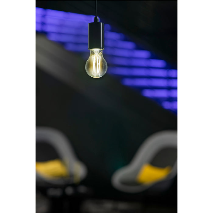 Hanging Edison bulb with black fixture, clear glass, and visible filaments.