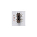 DIP switch, metal, brown and silver finish, surface mount.