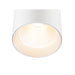 White cylinder surface-mounted light fixture, metal with a matte finish.