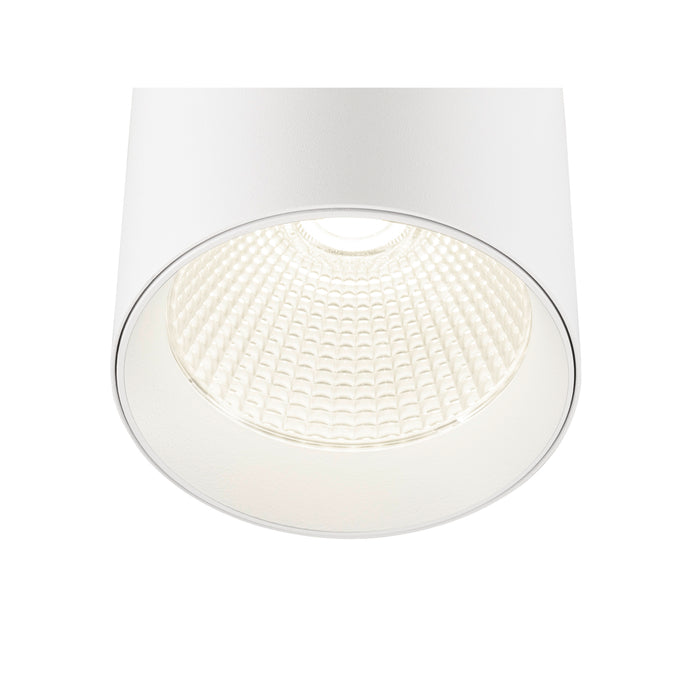 White cylinder surface-mounted LED downlight fixture.