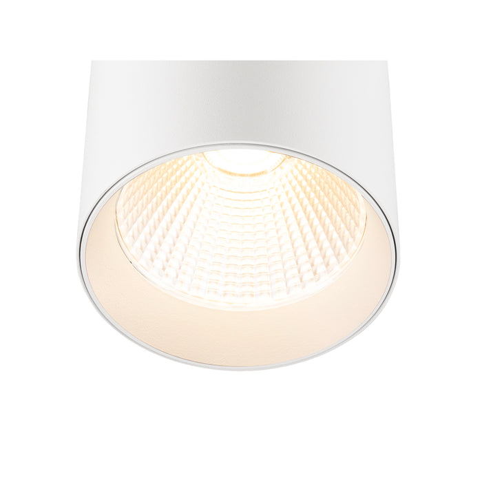 White cylinder surface-mounted light fixture, metal with a matte finish.