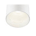 White cylinder surface-mounted LED downlight fixture.