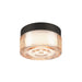 Glass flush mount ceiling light fixture with a black finish.