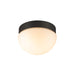 Black metal and frosted glass flush mount ceiling light.