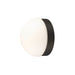 White glass wall sconce with black metal base.
