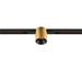 Gold finish track lighting fixture mounted on black track.