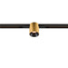 Gold cylinder track lighting fixture on black track.