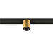 Gold track lighting fixture, mounted on black track.