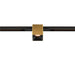 Metal track lighting fixture, gold finish, mounted on black track.