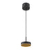 Black metal pendant light fixture with gold accent, ceiling mounted.
